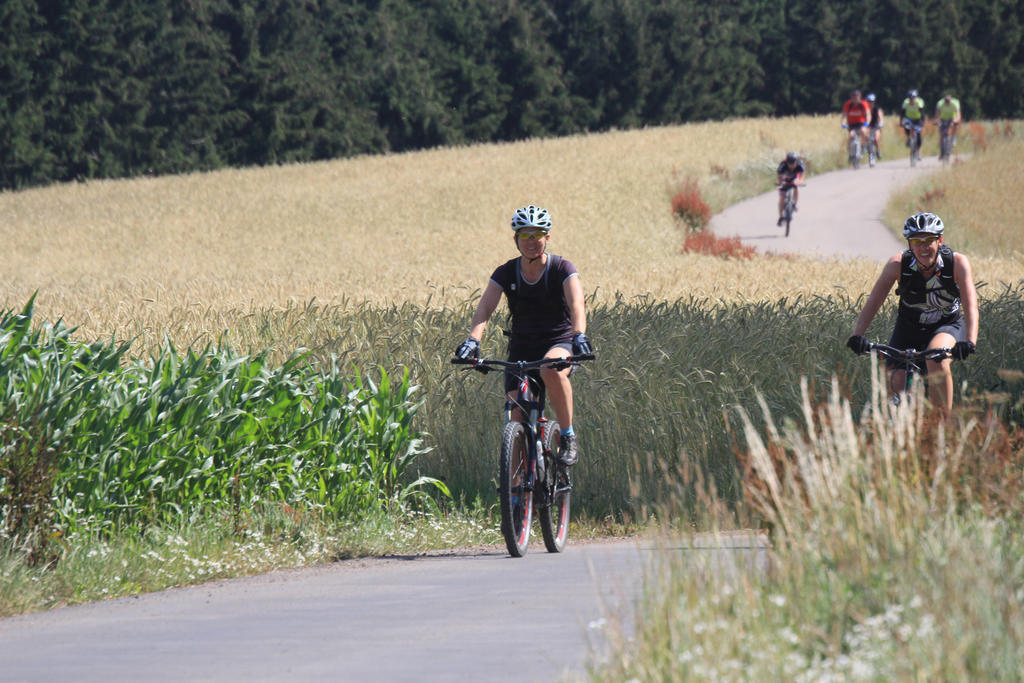 Lodge Kaul Wiltz